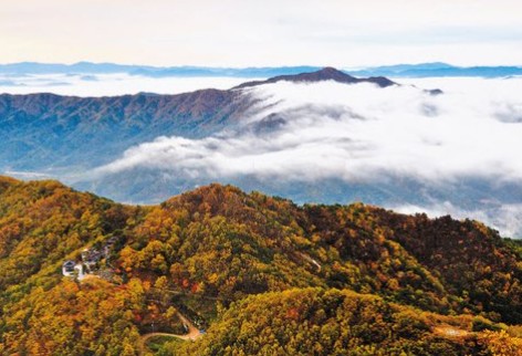 팔공산 단풍축제