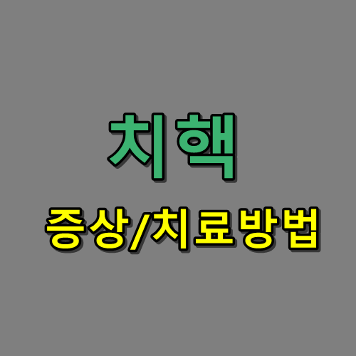 치핵