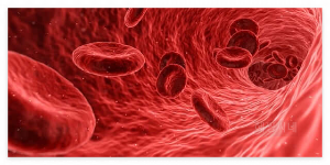 엠폭스 원숭이두창 증상과 원인