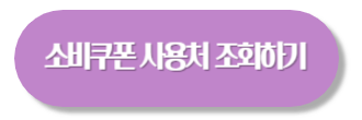 2차 민생지원금