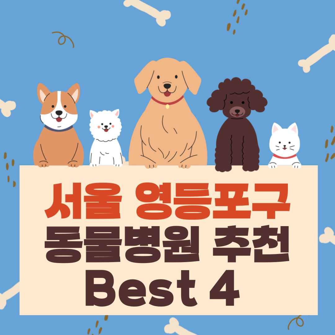 서울 영등포구 추천 동물병원