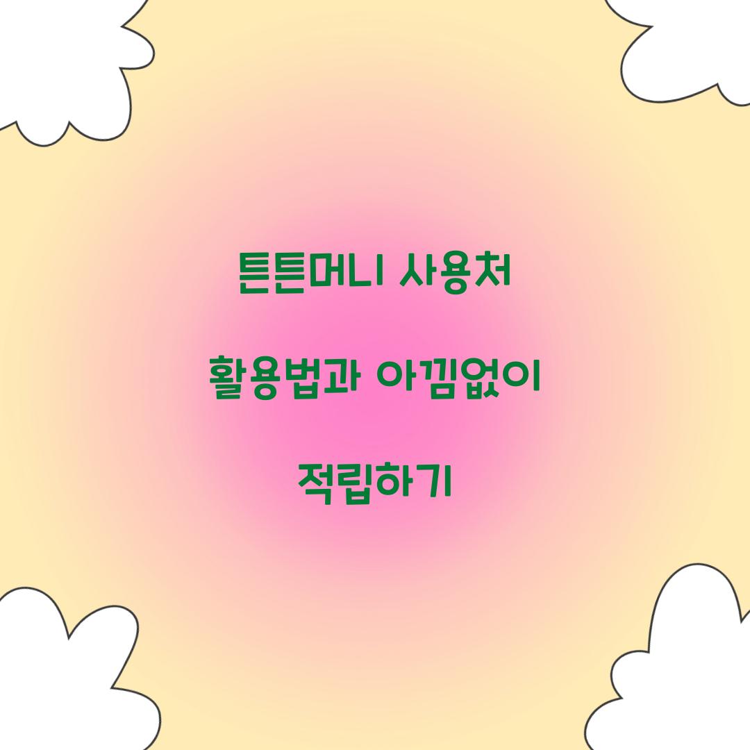 튼튼머니 사용처