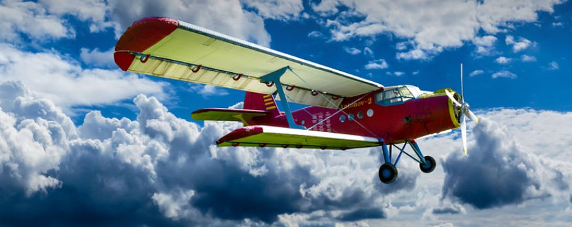 부정기편의 종류