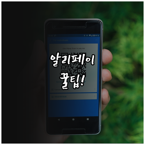 해외 카드 수수료 비교 알리페이 지하..