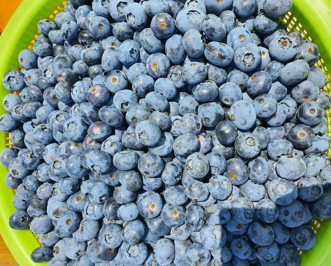 피로회복에 좋은 자연식품6가지