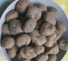 하늘마 효능 부작용 하늘마 먹는방법 보관방법 총정리 (최신)