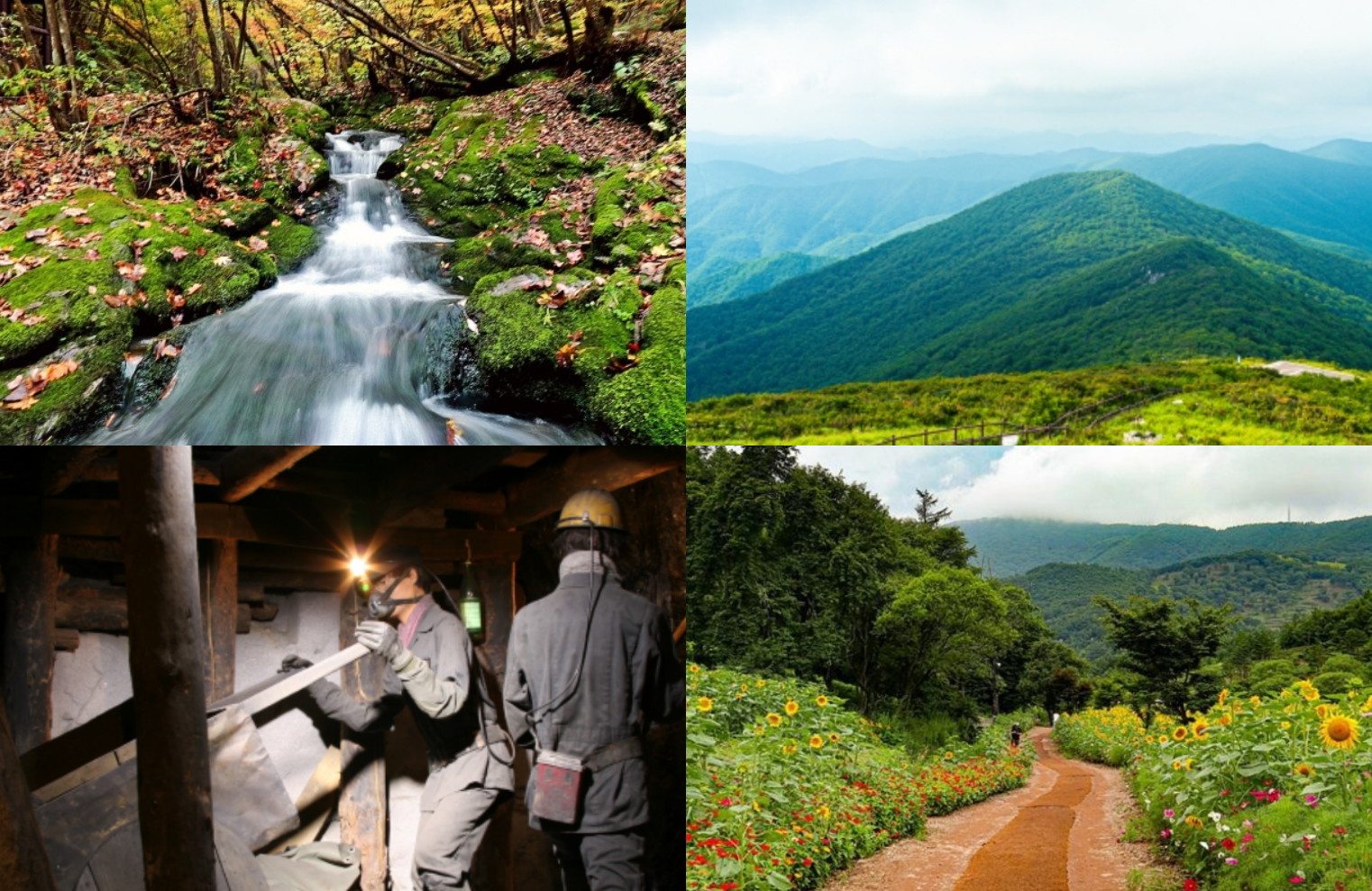 태백가볼만한곳