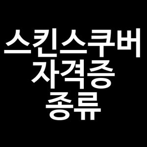 스킨스쿠버 자격증 종류