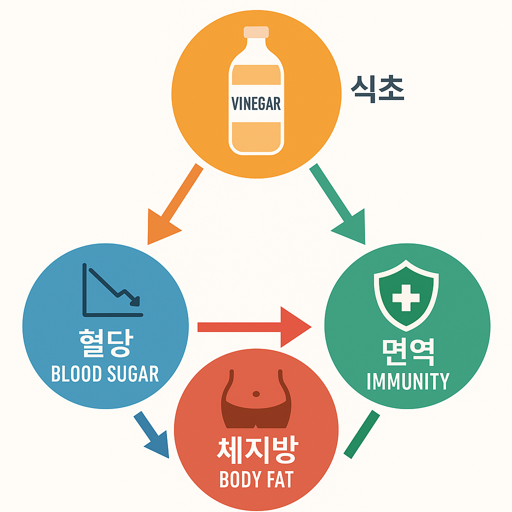 식초 관련 이미지