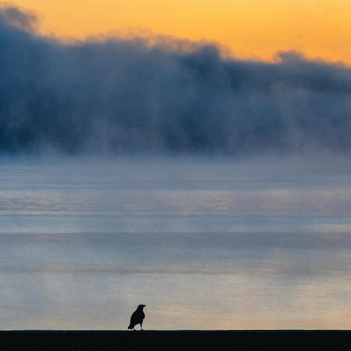 노르에피네프린, 집중력 호르몬이 아니라 긴장을 유지하는 시스템