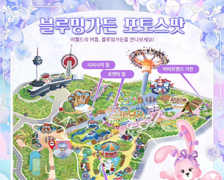 국내여행 6월 가볼만한 곳 수국, 라벤더 꽃 축제일정