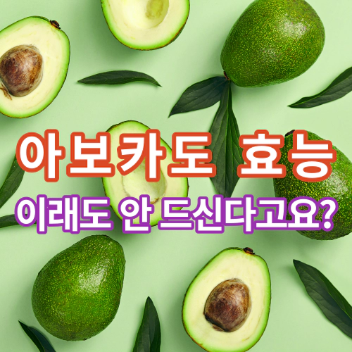 아보카도-효능-건강