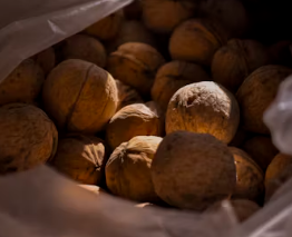 호두과자 창업에 대하여 알아보기