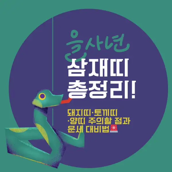 2025년 삼재띠 총정리!