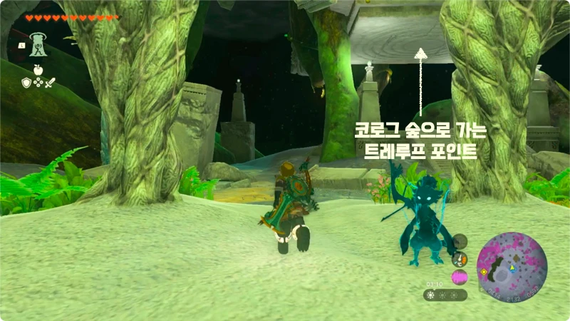 코로그의 숲으로 올라가는 트레루프 포인트