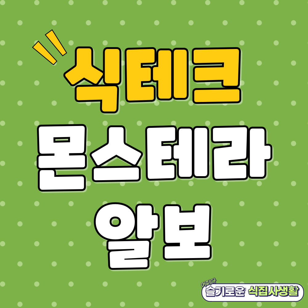 식테크 몬스테라 알보