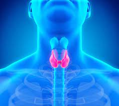 갑상선 기능 항진증