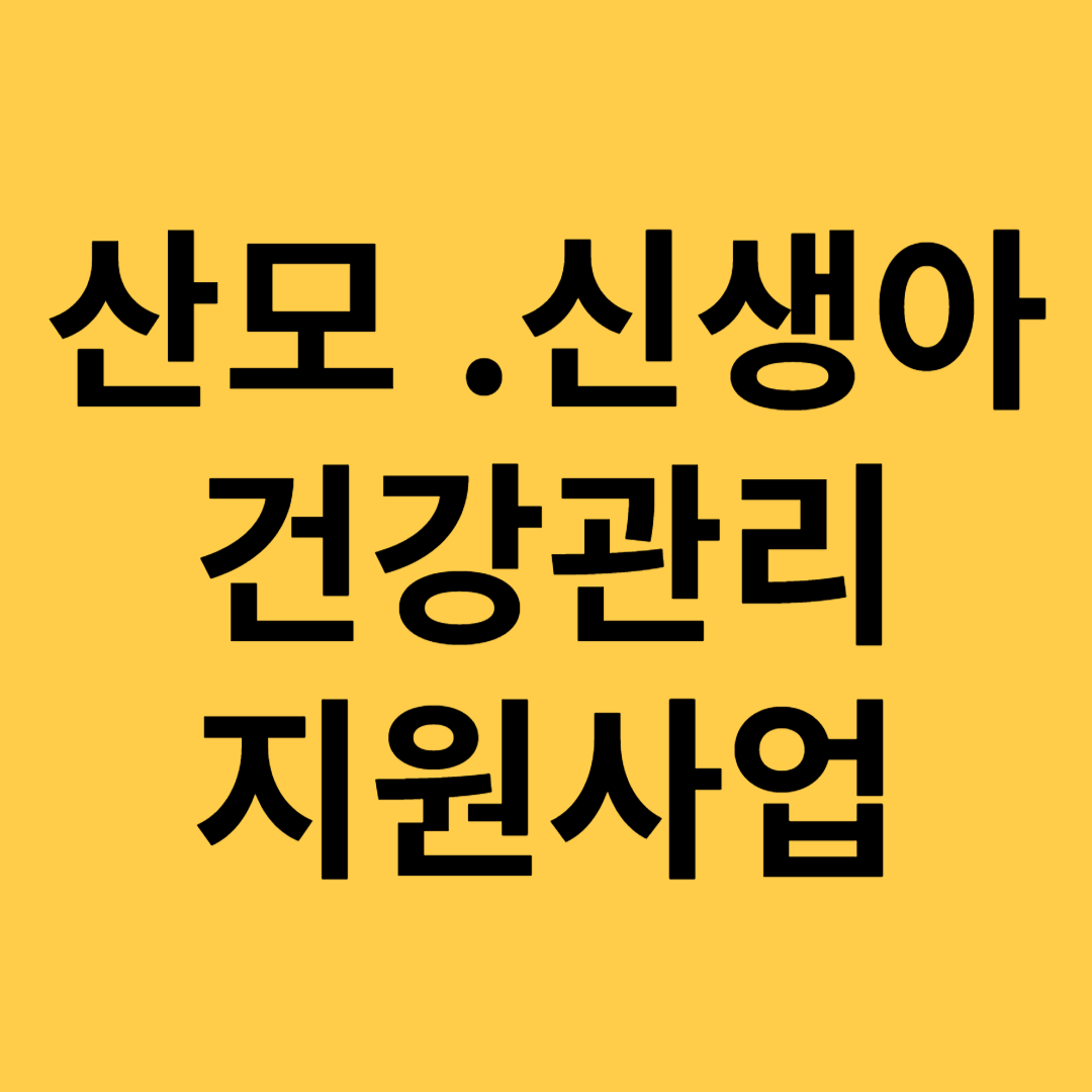 산모신생아건장관리지원금