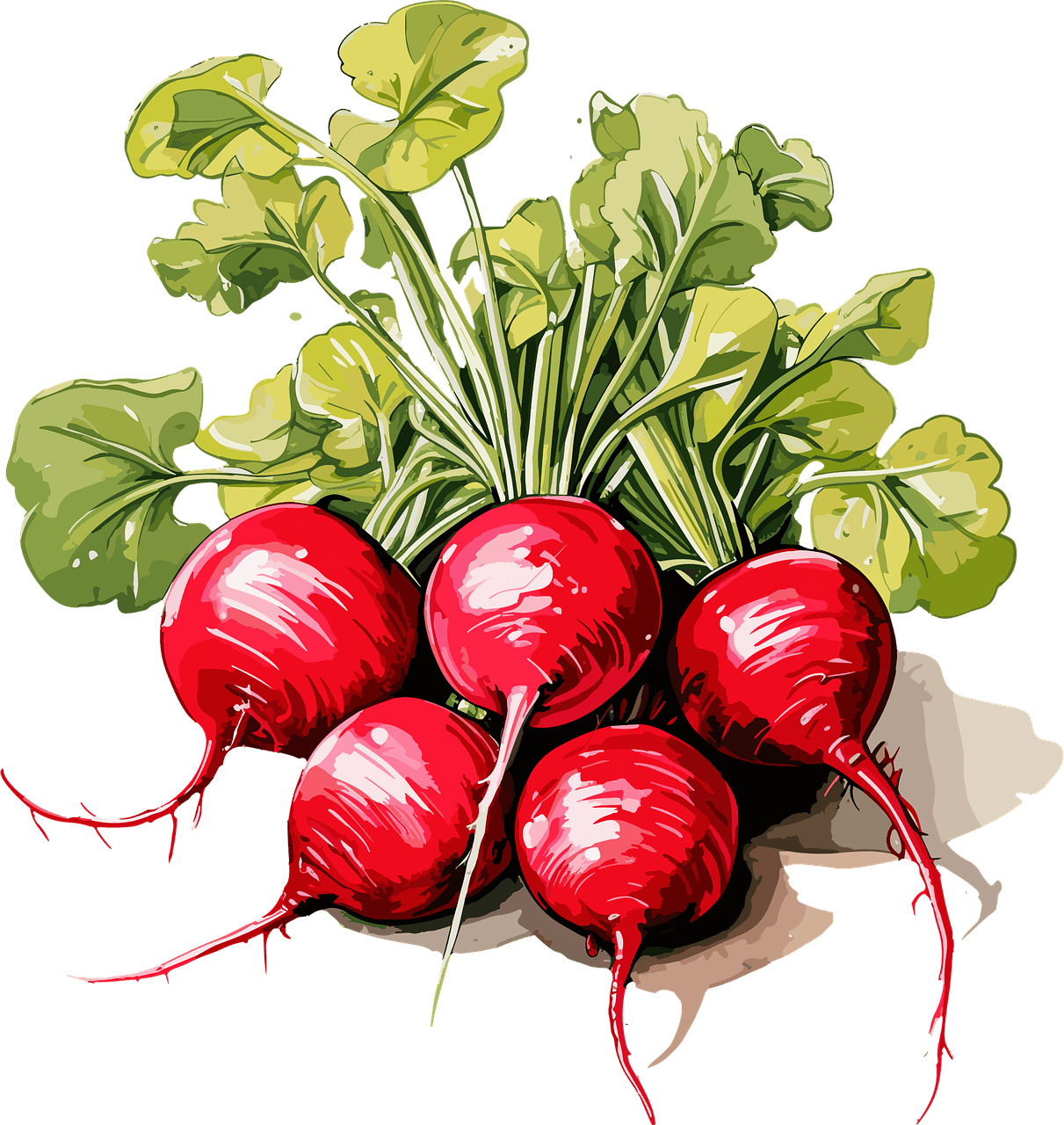 2025년 김장 재료 가격 비교와 합리적 구매 전략