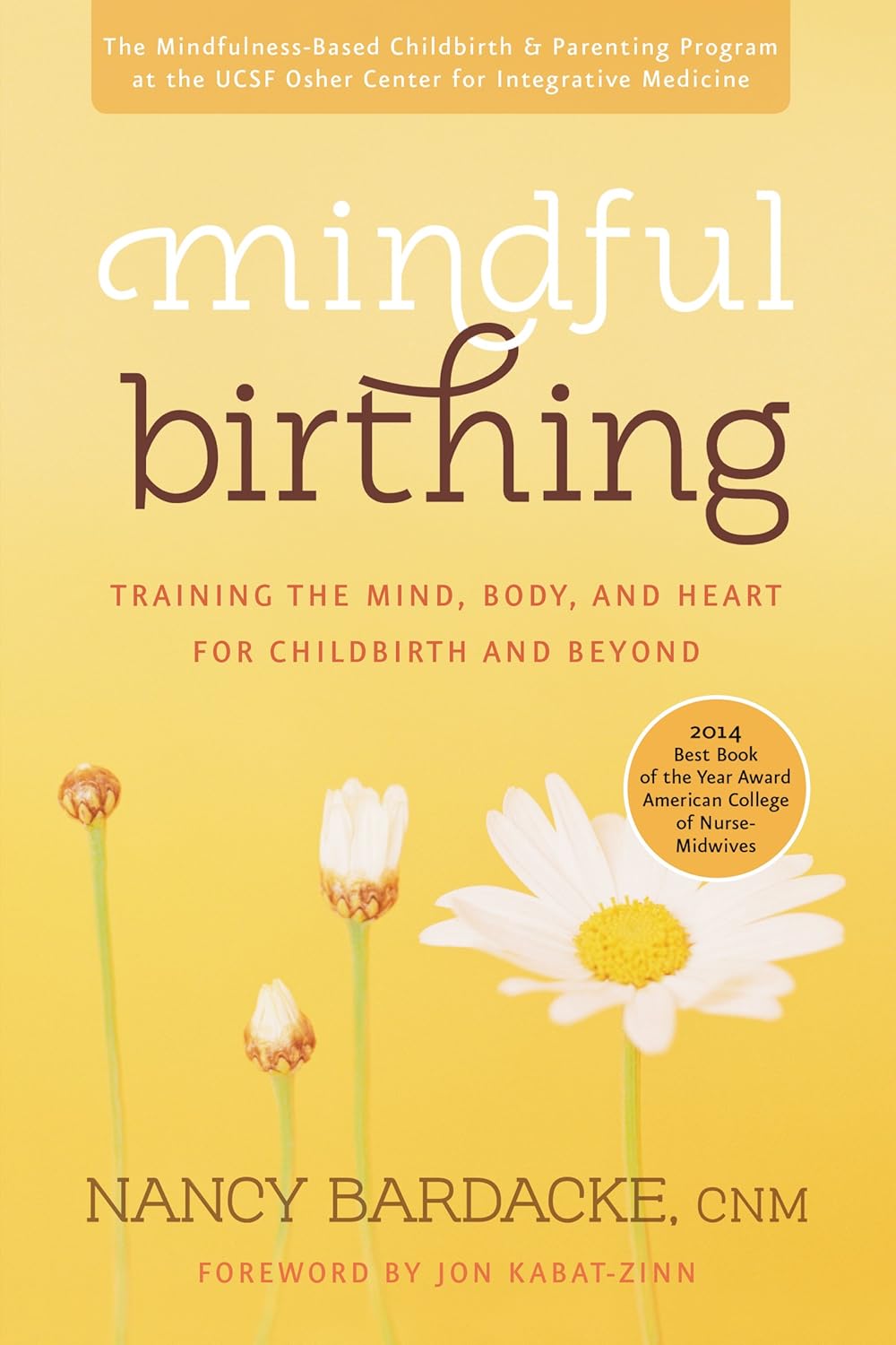 Mindful Birthing