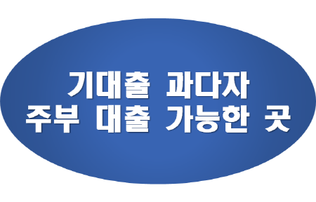 기대출과다자-주부-소액-대출