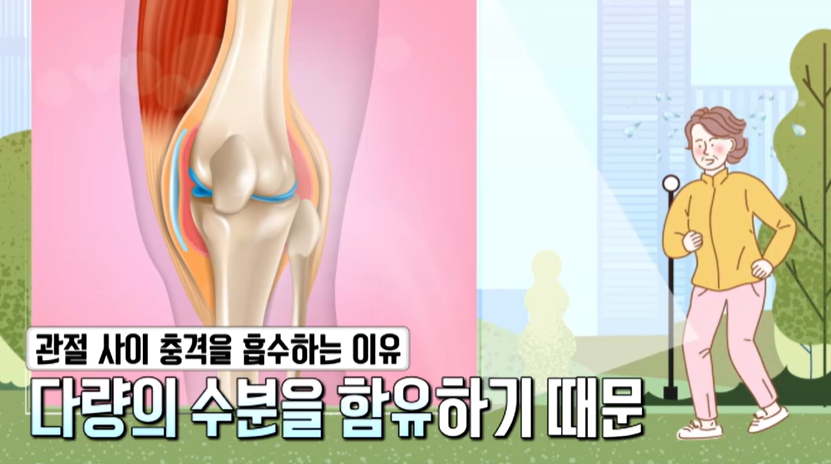 프로테오글리칸