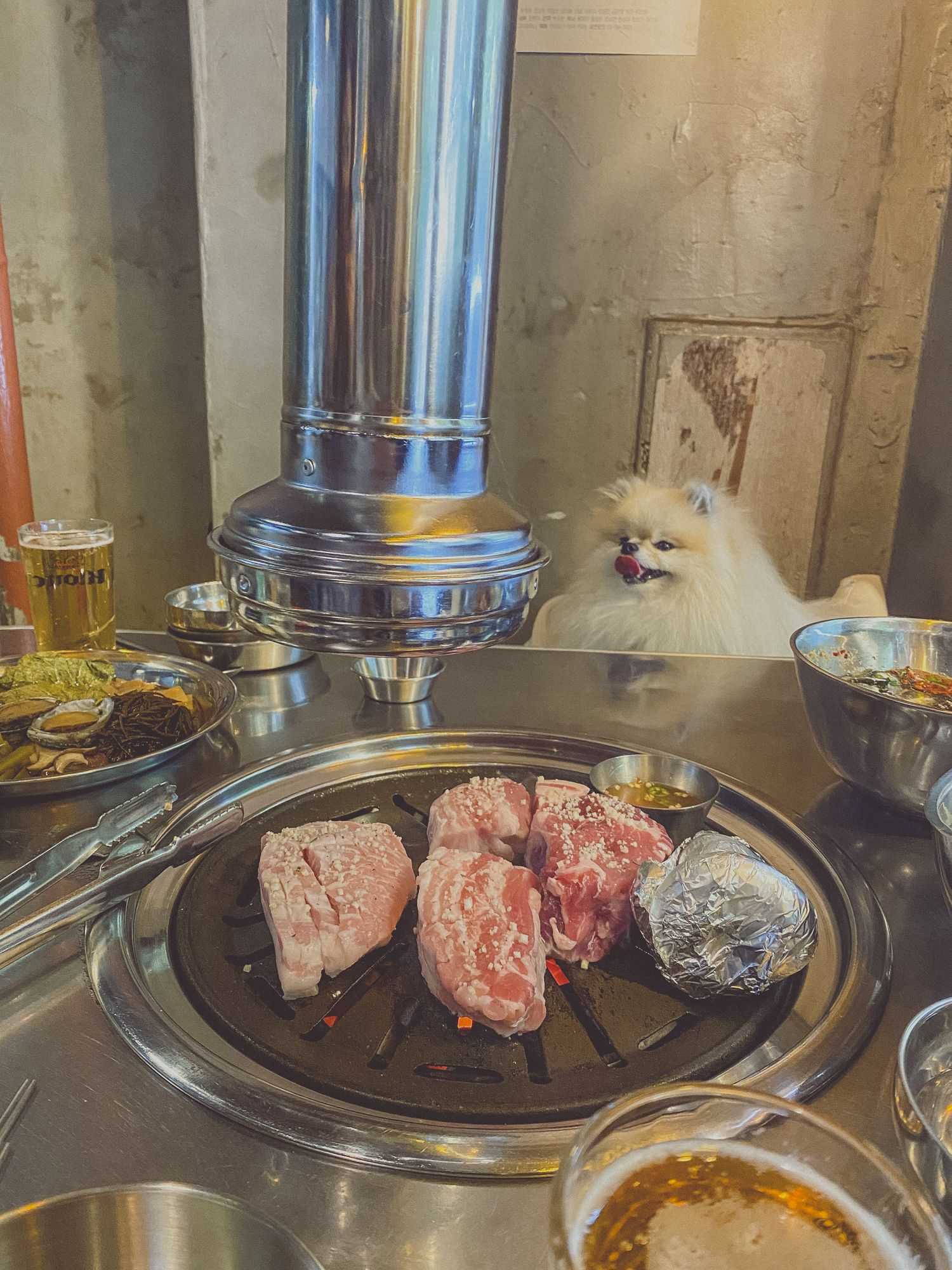 고기가 구워지길 기다리는 강아지