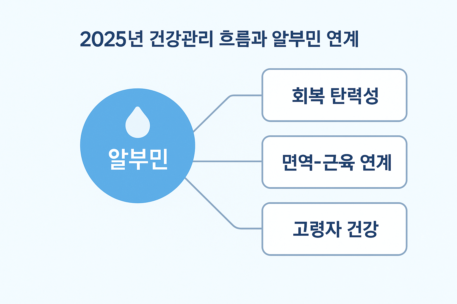 "알부민이 주목받는 이유"에 대한 이미지입니다.