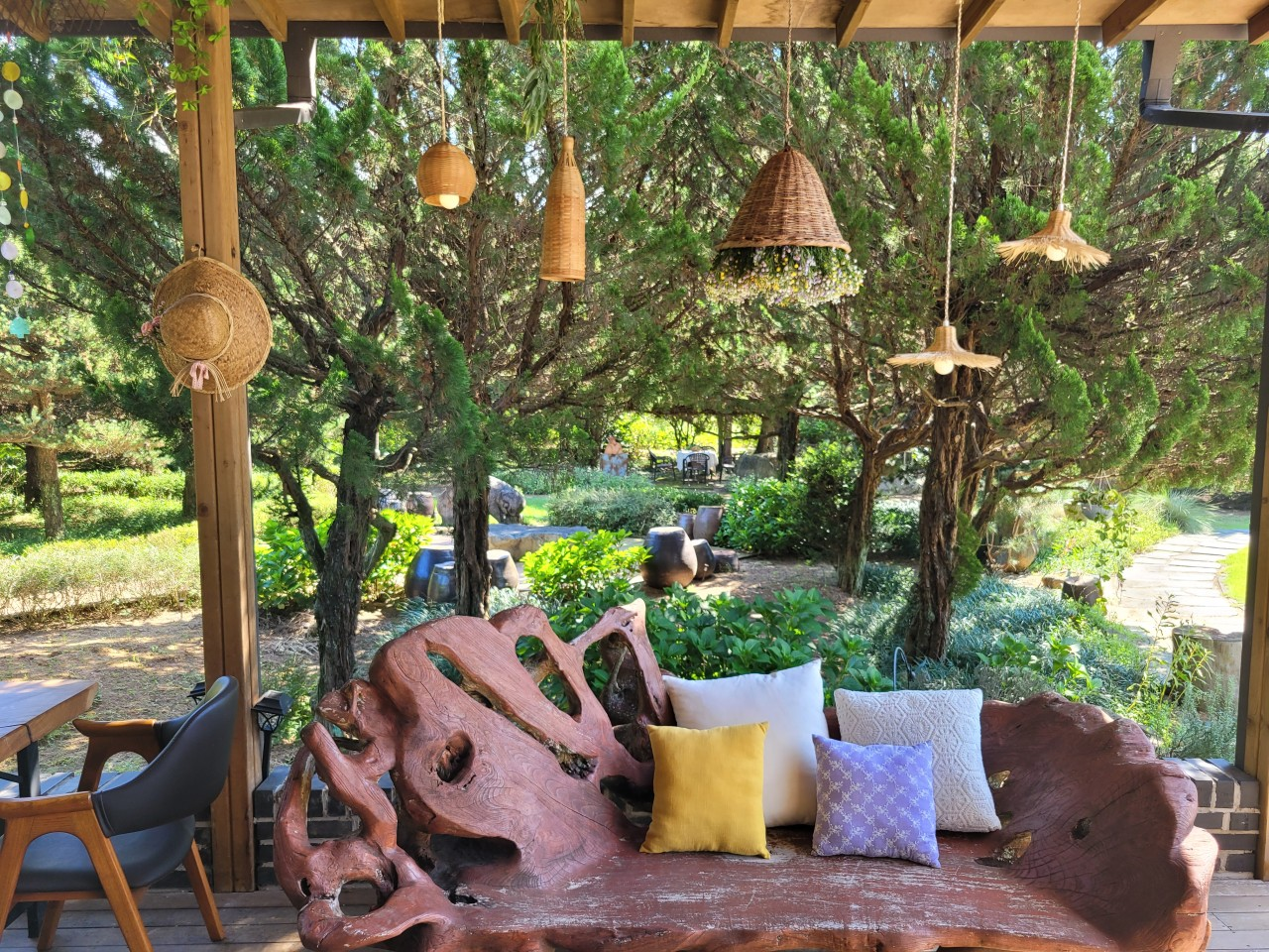 생방송투데이 스카이바이크&#44; 쌍산재&#44; 향나무숲