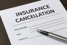 보험 청약 철회