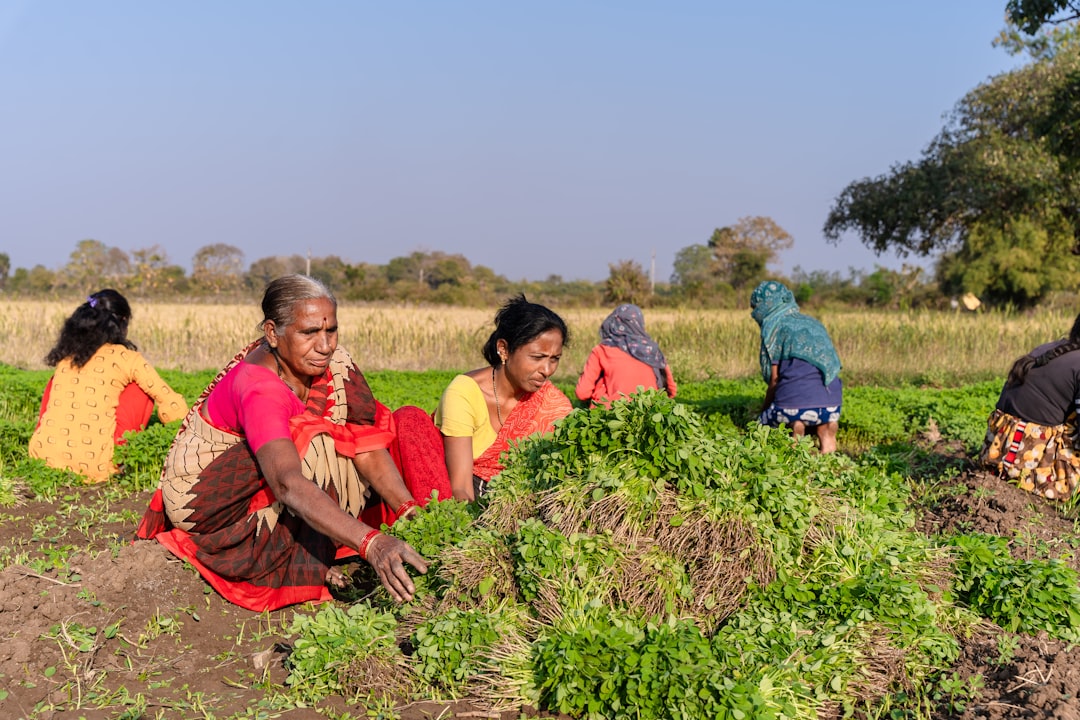 Farmers' allowance