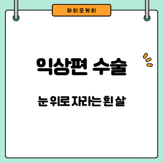 익상편-수술