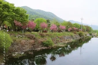 개화예술공원 입장료 보령 식당 가볼만한곳_16