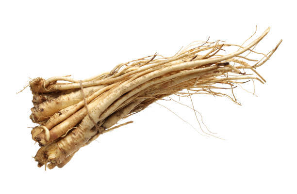 가래에 좋은 음식