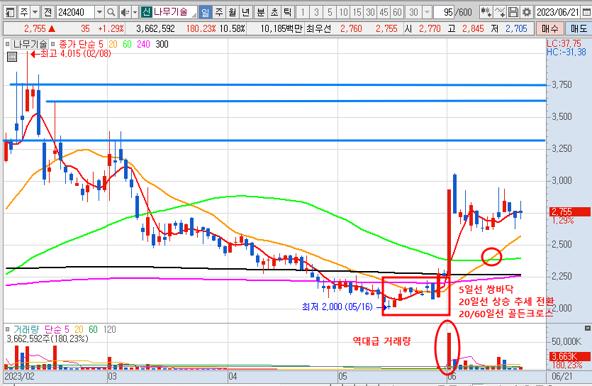 6월 21일 나무기술 일봉 차트