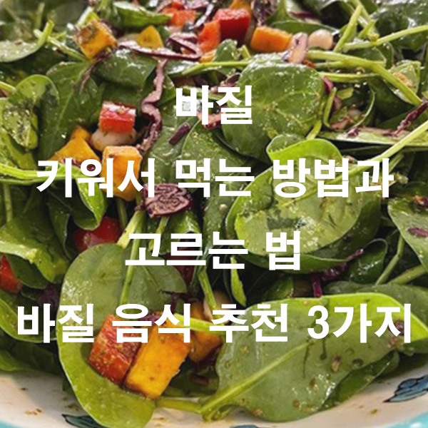 바질 키워서 먹는 방법과 고르는 법 바질 음식 추천 3가지
