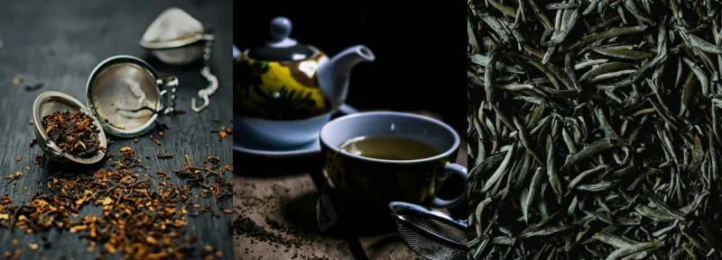 홍차 우롱차 녹차 차이