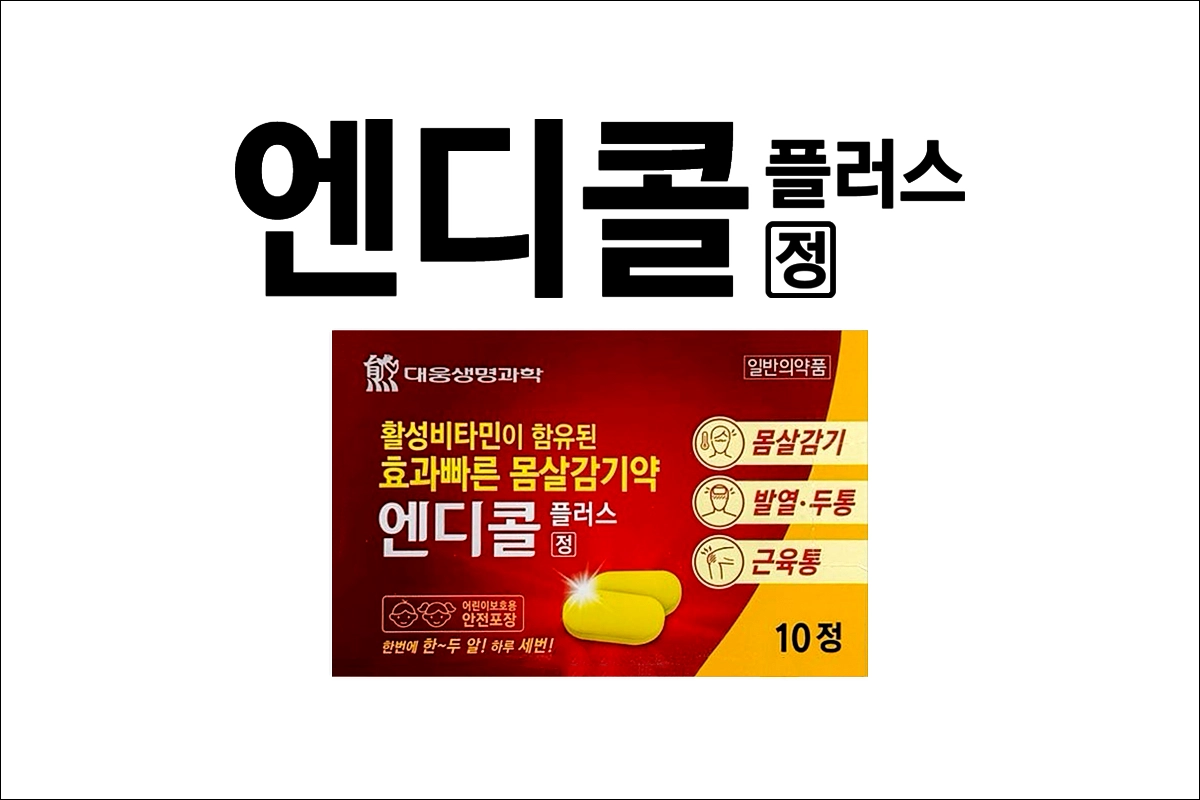 엔디콜 플러스정 가격 효능 효과 부작용 아세트아미노펜 푸르설티아민 몸살감기 발열 두통 근육통 감기약 해열제