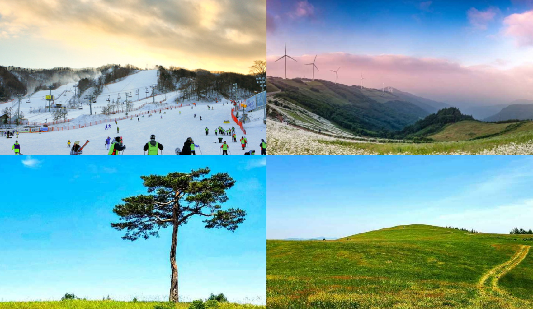 평창 가볼만한곳