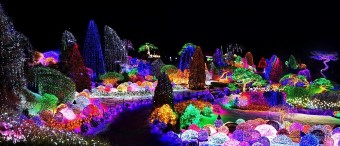 2023년 8월 축제 안내및 기간, 정보