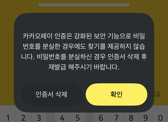 카카오페이에서 안내되는 비밀번호 변경 안내사항으로 카카오페이 인증에 대한 비밀번호를 분실한 경우 찾기가 지원되지 않으며&#44; 인증서 재발급을 진행해야한다.