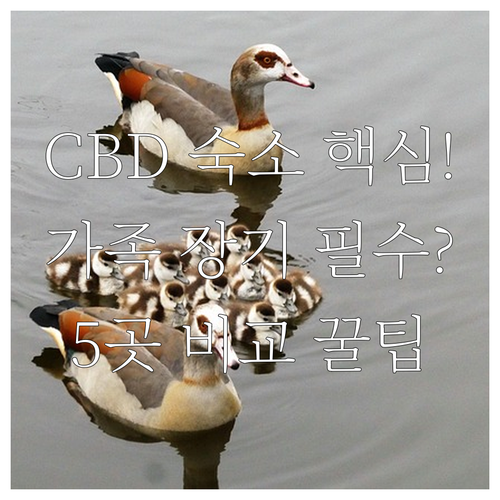 멜버른 CBD 호텔 아파트형 숙소 5..