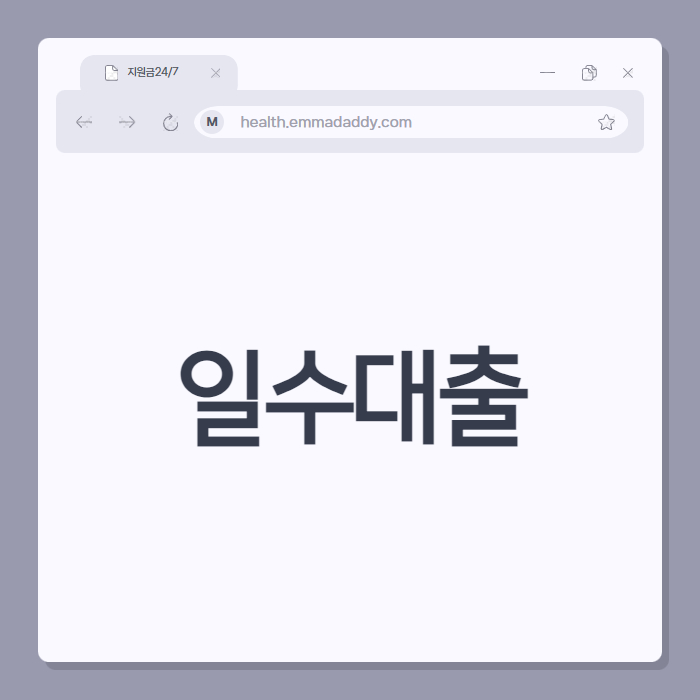 일수대출 01