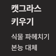 고양이가 싫어하는 냄새