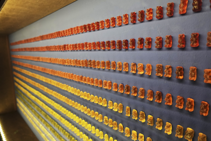 하리보 전시회 무한젤리