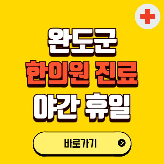 완도군 야간 휴일 한의원 한방병원 찾기 ❘ 24시 일요일 주말 연휴 응급진료 추천 잘하는 곳