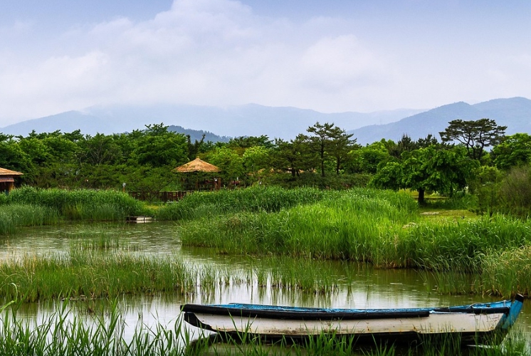 순천만 생태공원 사진