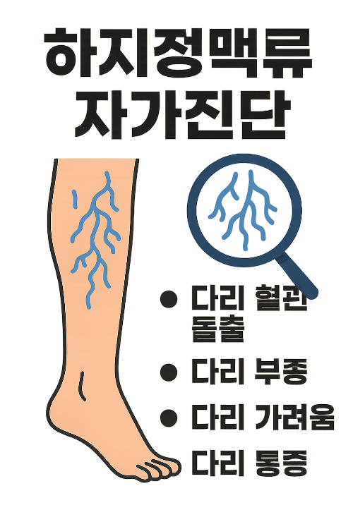 실핏줄이 도드라진 다리 사진