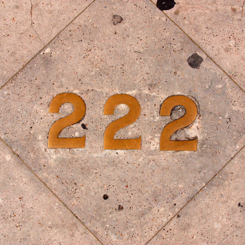 숫자222