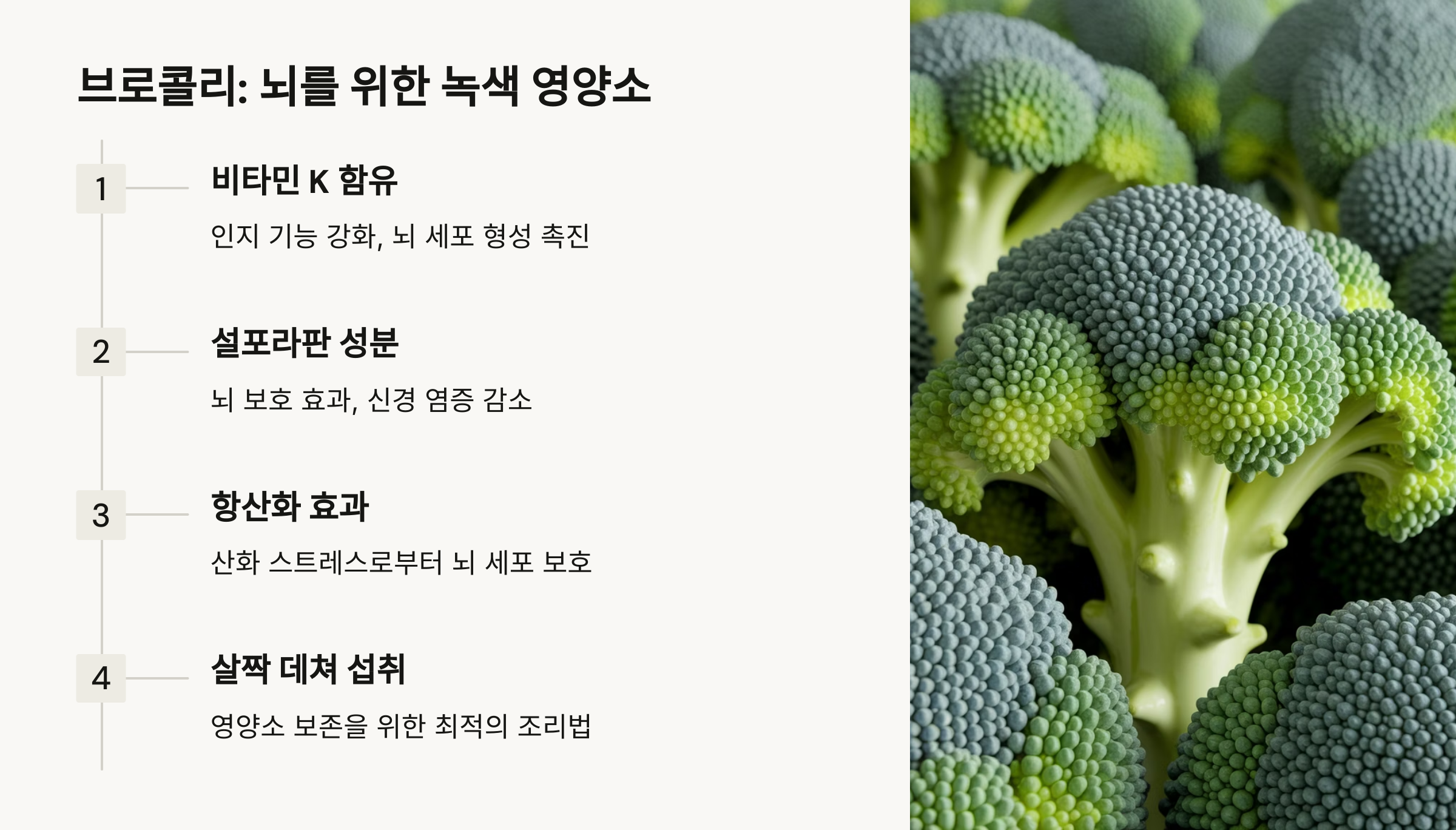 뇌를 젊게 유지 하려고 먹는 음식들